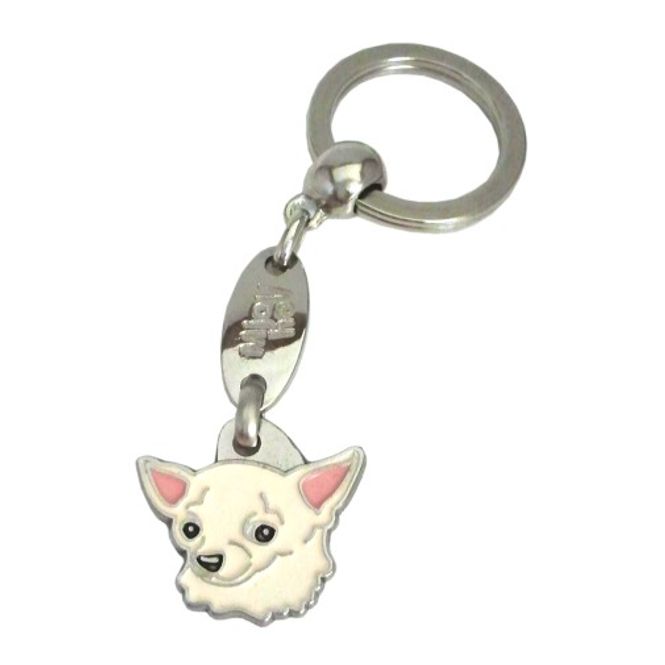 Hovedbilde Chihuahua korthår