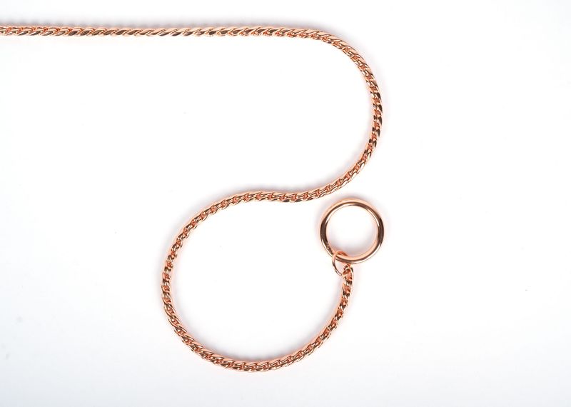 Snakekjetting «rosegull»